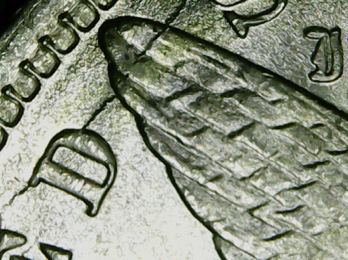 1982-O-Morgan-Dollar-Help-Please.-The-Reverse-Has-More-Of-Whatever-This-Is.