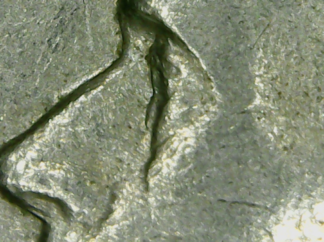 1964-D-Jefferson-Nickel-With-A-Doubled-Eye...any-Thoughts?