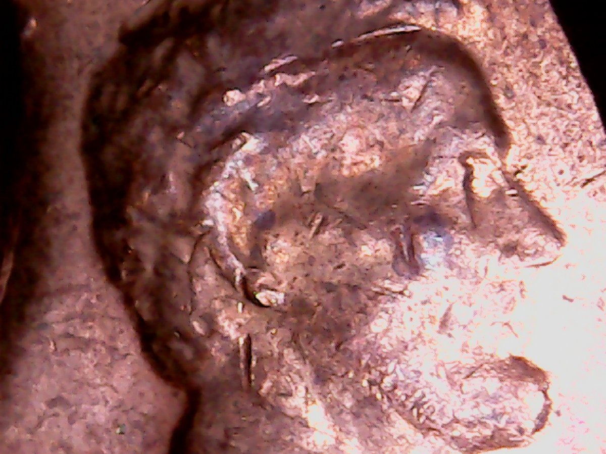 1970-D-LMC.--Questions-About-This-Coin-For-The-More-Knowledgeable.