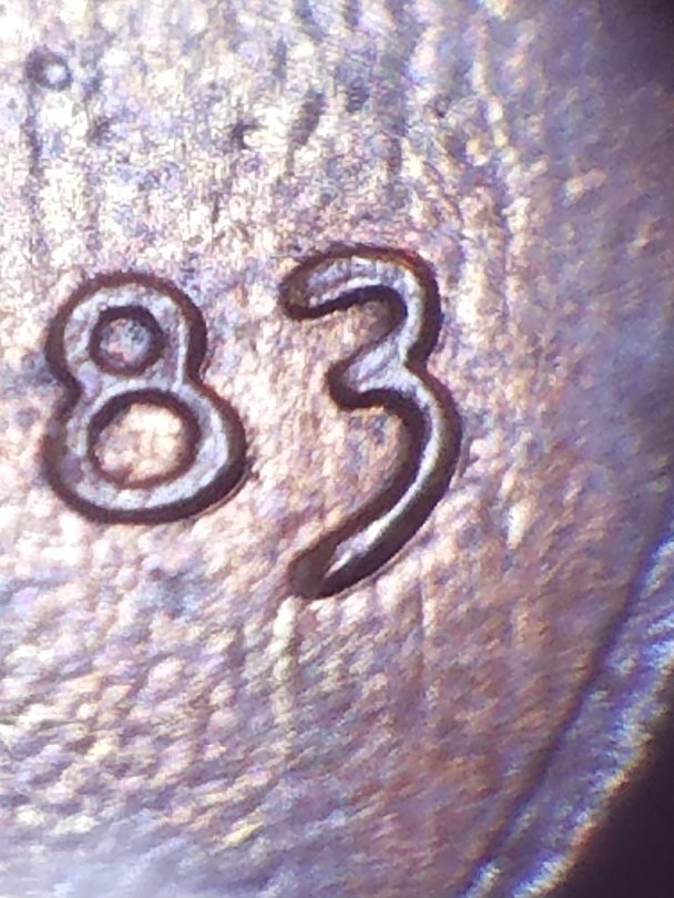 Grotesquely-Deformed-,-But-Remarkably--Well-Preserved-1983-P-LMC