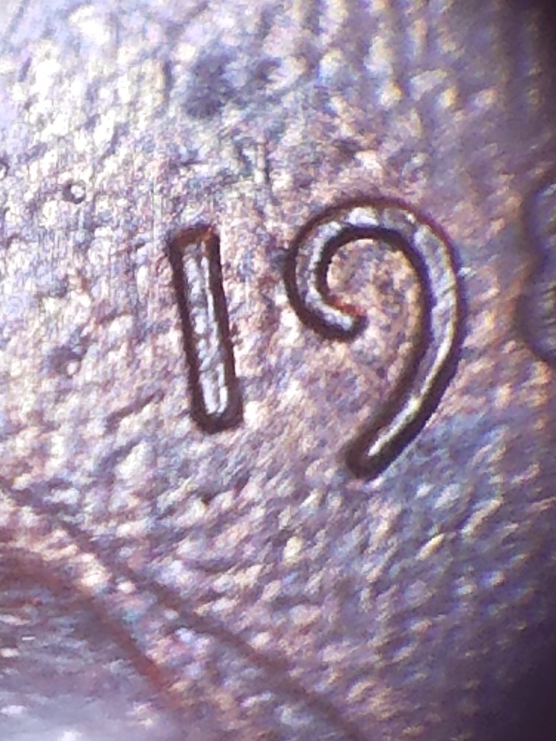 Grotesquely-Deformed-,-But-Remarkably--Well-Preserved-1983-P-LMC