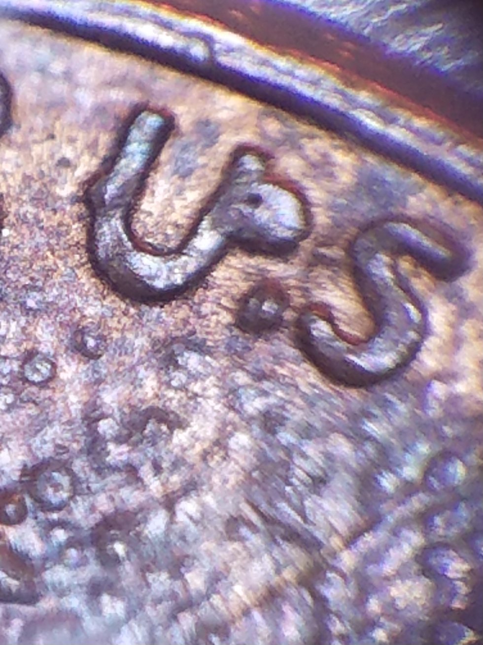 Grotesquely-Deformed-,-But-Remarkably--Well-Preserved-1983-P-LMC