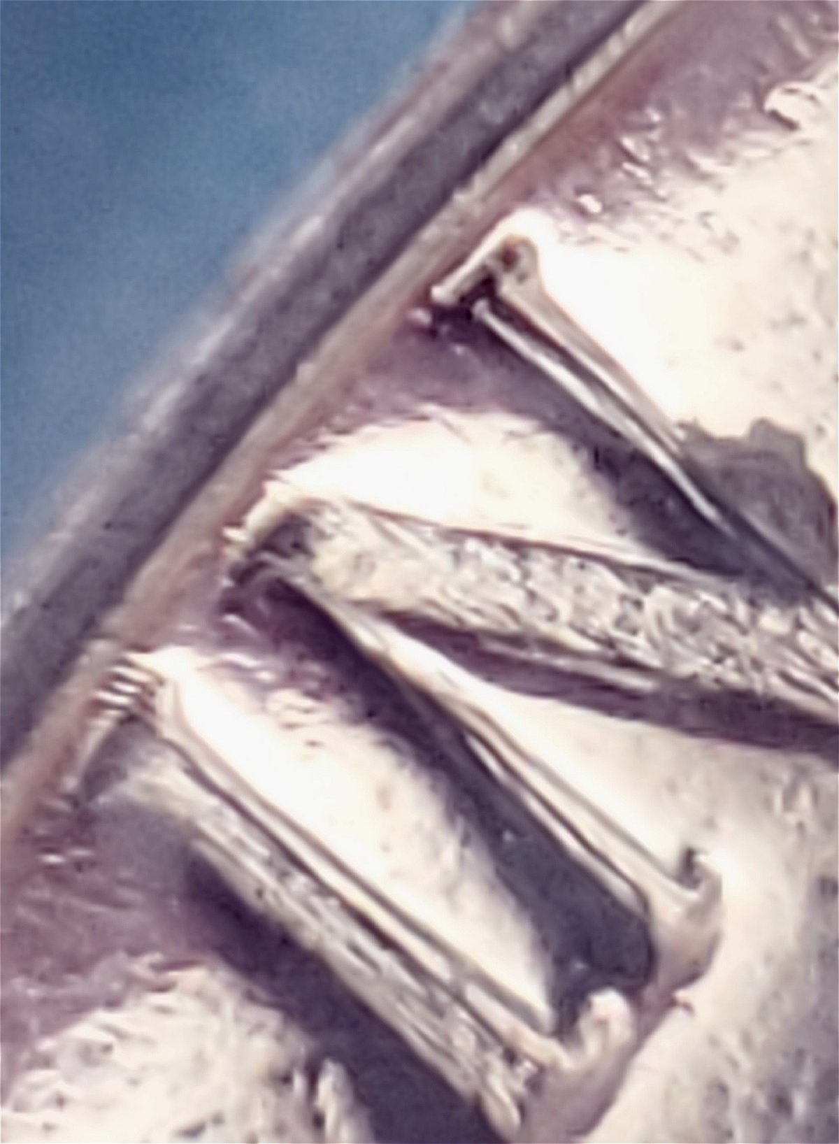 1961-PR-Nickel-Unlisted-DDO?