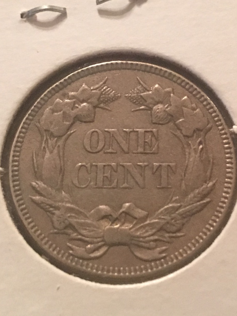 1857-Flying-Eagle-Cent-For-Grading
