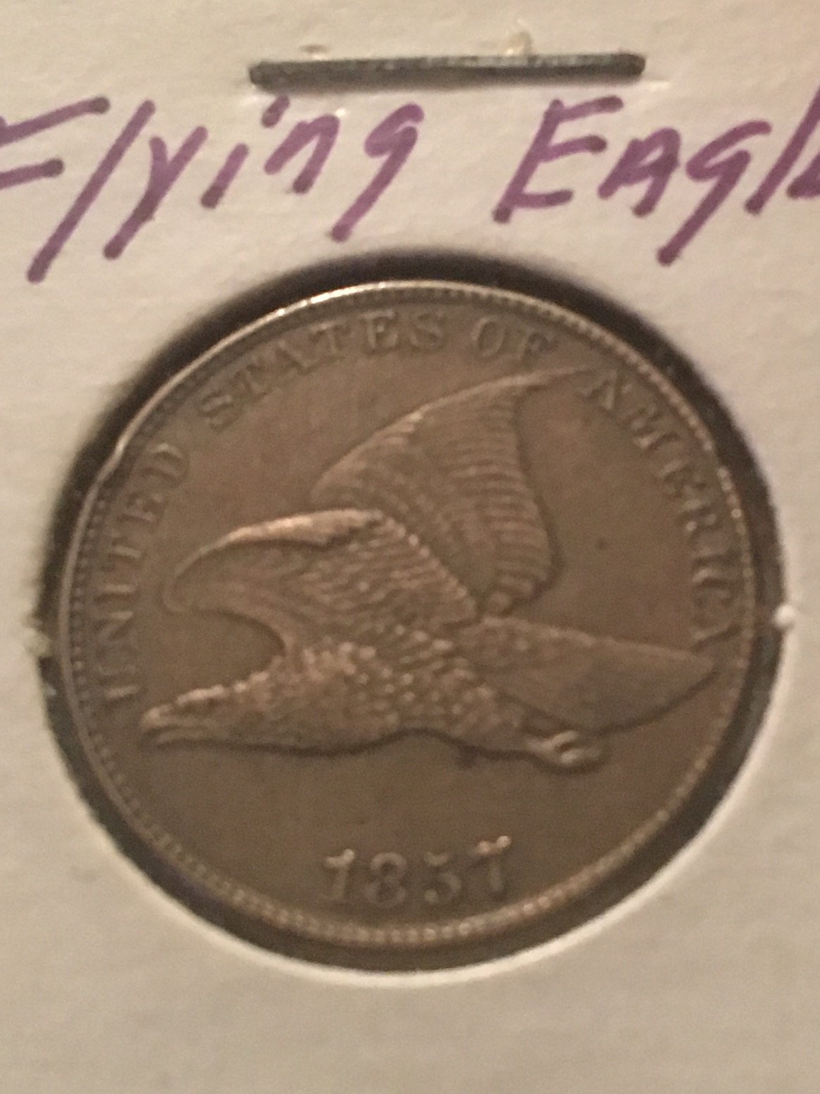 1857-Flying-Eagle-Cent-For-Grading