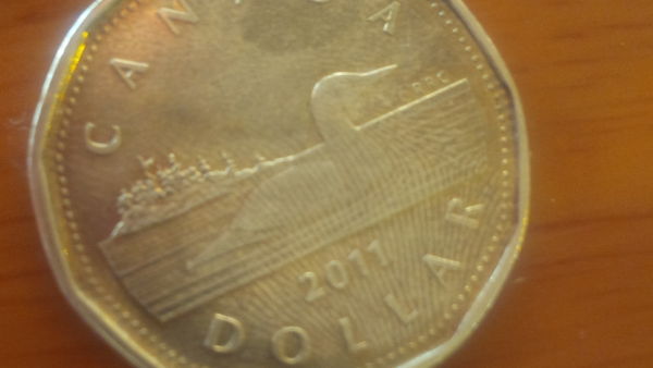 Fingerprint-Engraved-Loonie