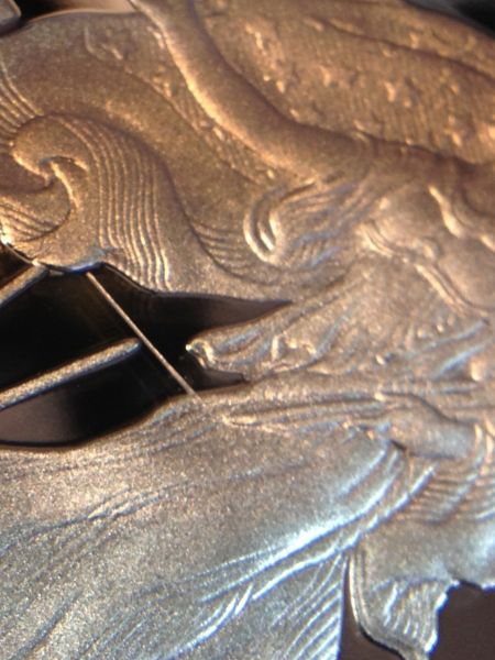 Unique-Eagle-Proof-Need-Help-Identifying-If-Error