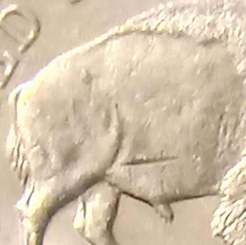 Need-Help-With-2005-Nickel-Errors.