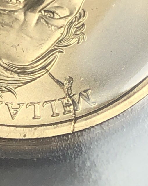 2010-Presidential-Dollar-Error?