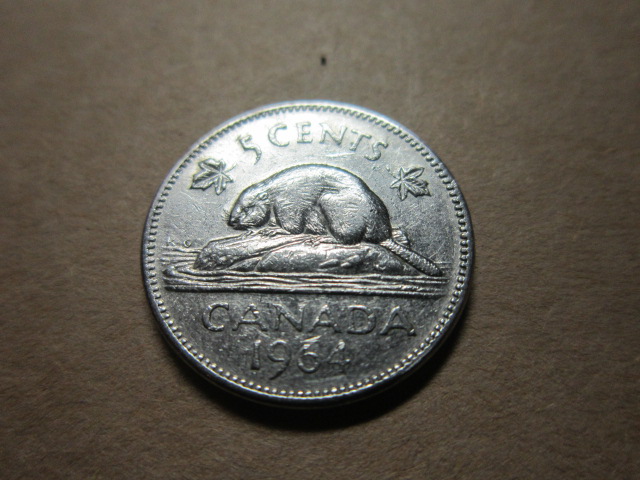 Do-You-Have-Any-Forgotten-Coins