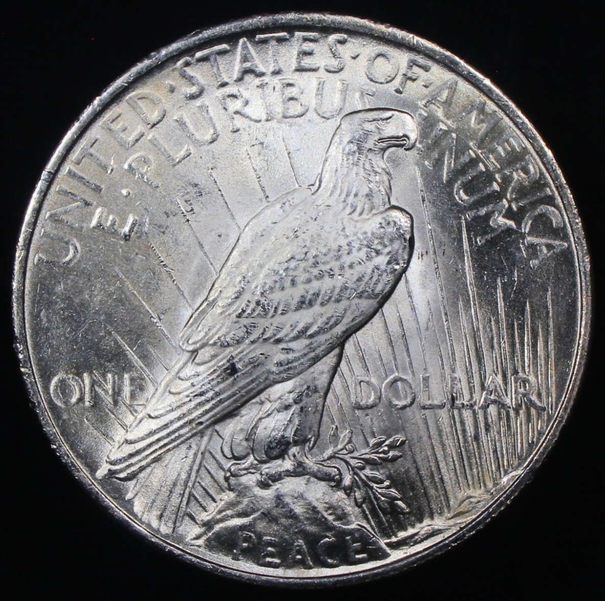 All-Members,-Post-Your-Most-Recent-US-Coin-Purchases!