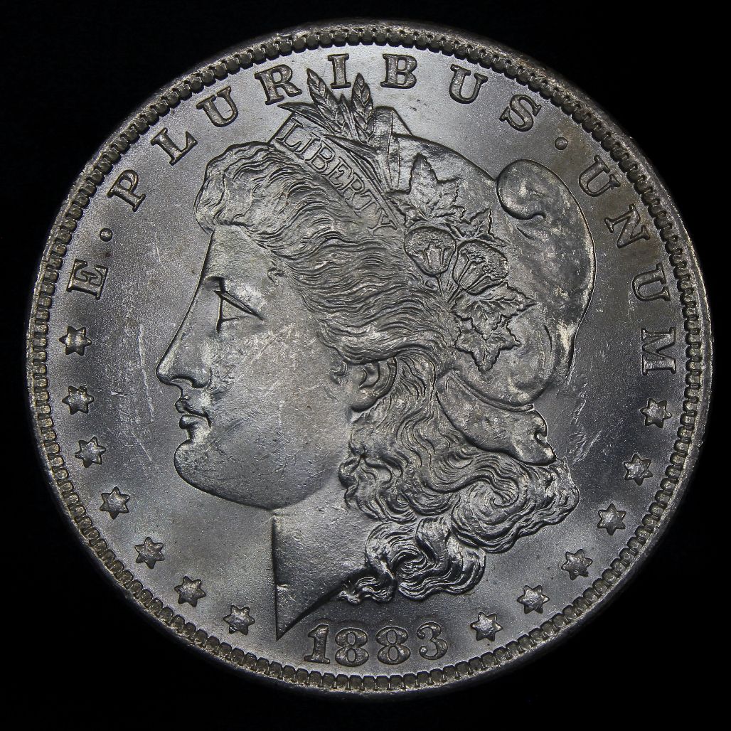 The-28-Days-Of-Morgan-Dollars-Part-4