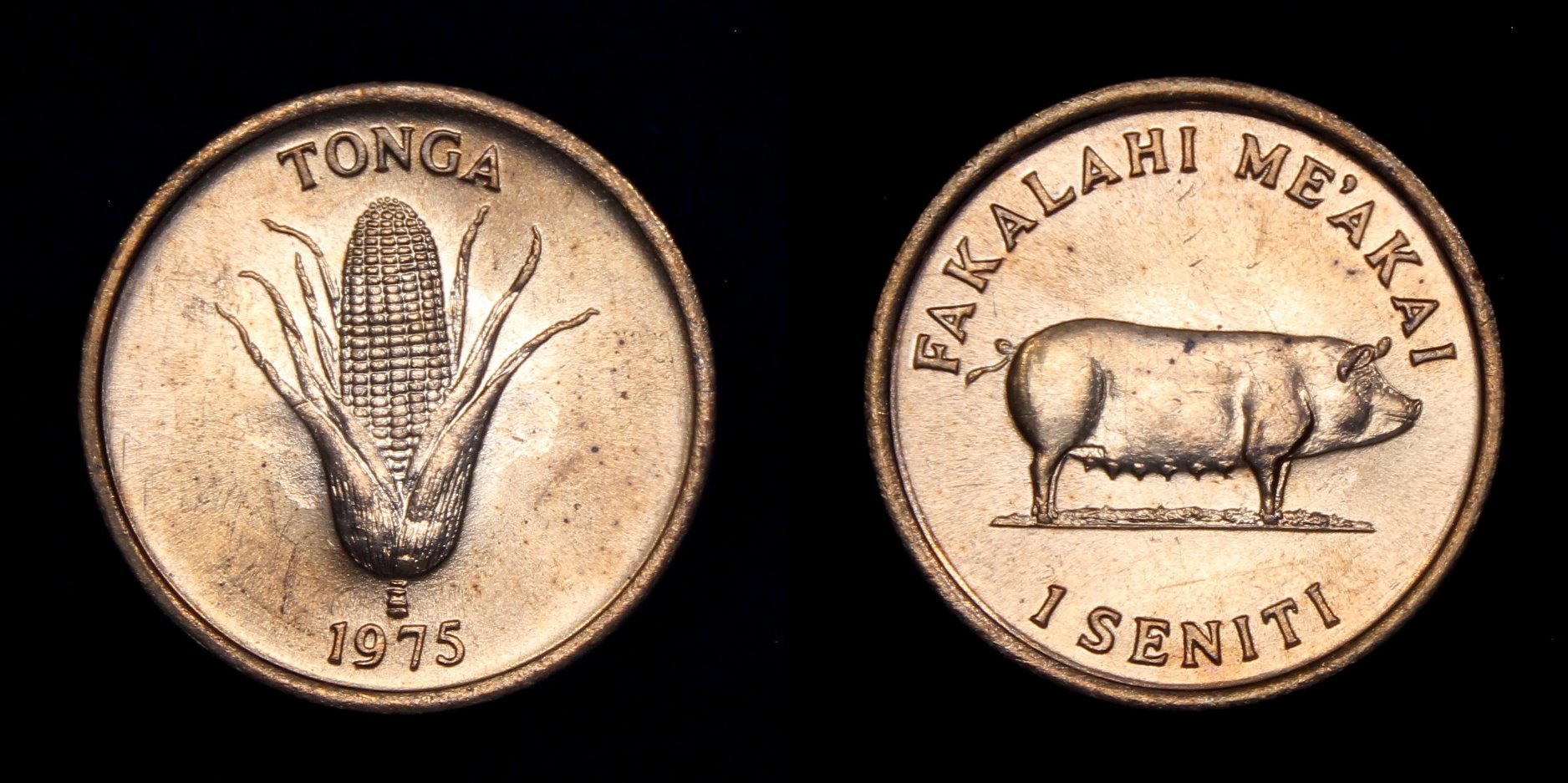 Post-Your-Coins-Representing-The-Animal-Kingdom.
