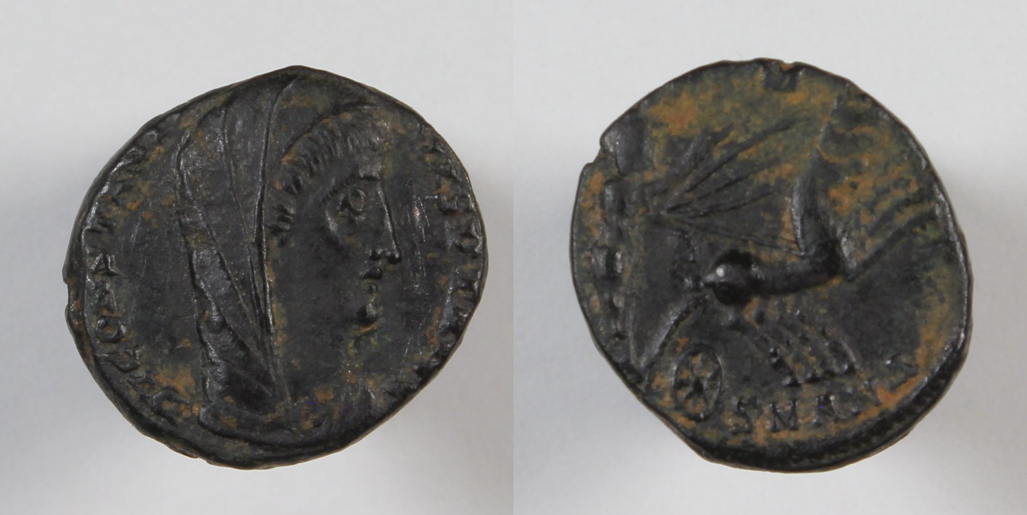 Post-Your-Coins-Representing-The-Animal-Kingdom.