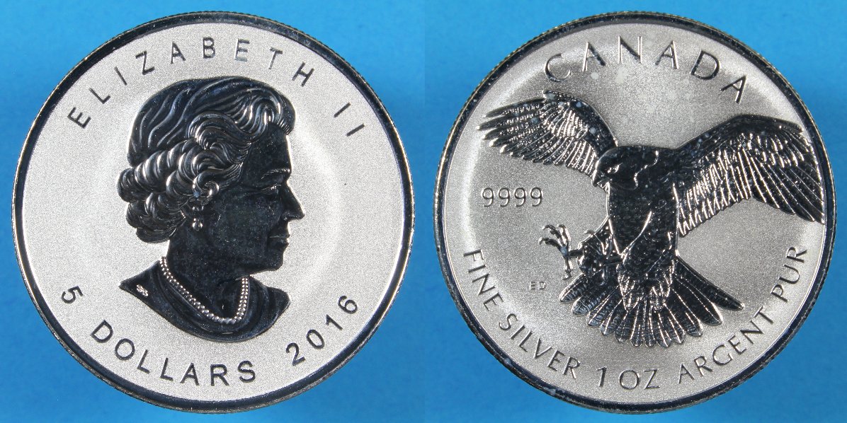 Post-Your-Coins-Representing-The-Animal-Kingdom.