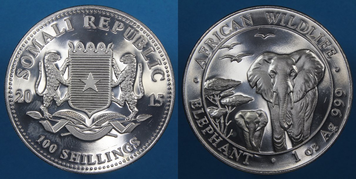 Post-Your-Coins-Representing-The-Animal-Kingdom.