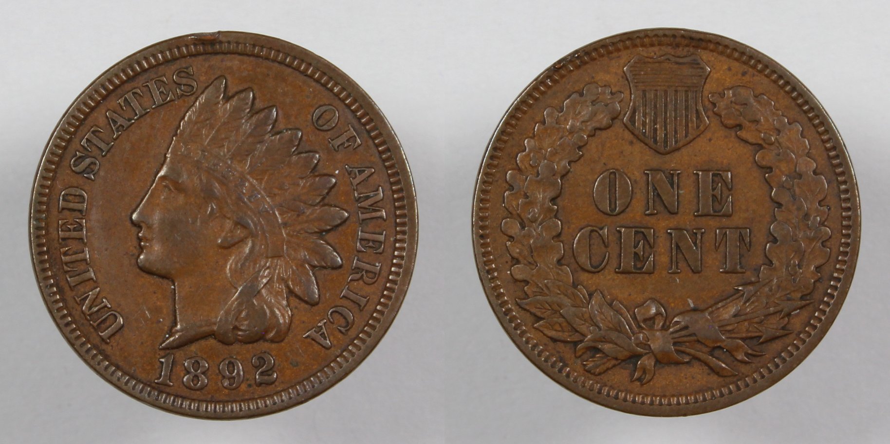 51-Days-Of-Flying-Eagle-And-Indian-Head-Cents!---Part-4!!
