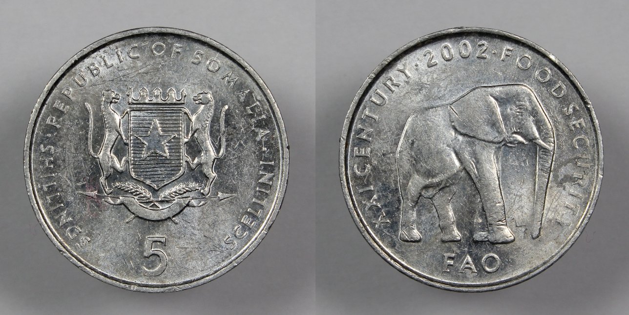 Post-Your-Coins-Representing-The-Animal-Kingdom.