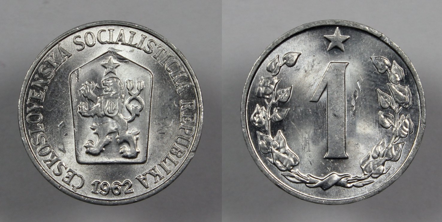 Post-Your-Coins-Representing-The-Animal-Kingdom.