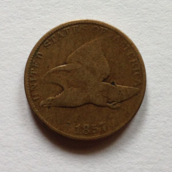Penny-Roll-Find-Of-The-Year,-Here!