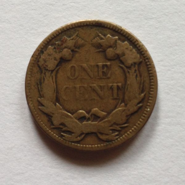 Help-Grading-These-Two-Coins
