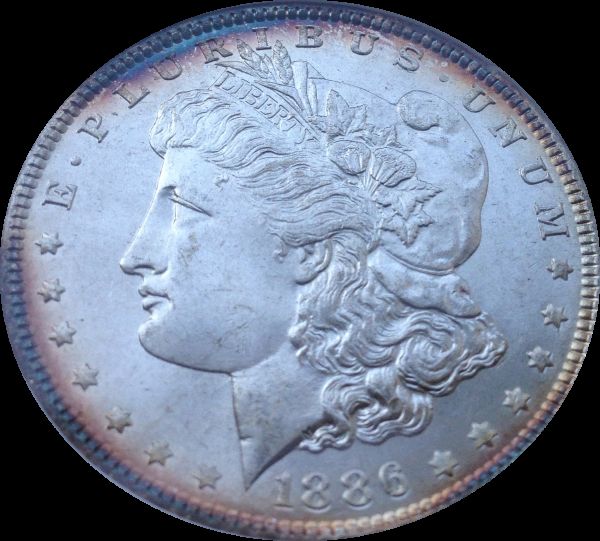 Today's-Pickups-From-A-New-Orleans-Coin-Shop-Edited