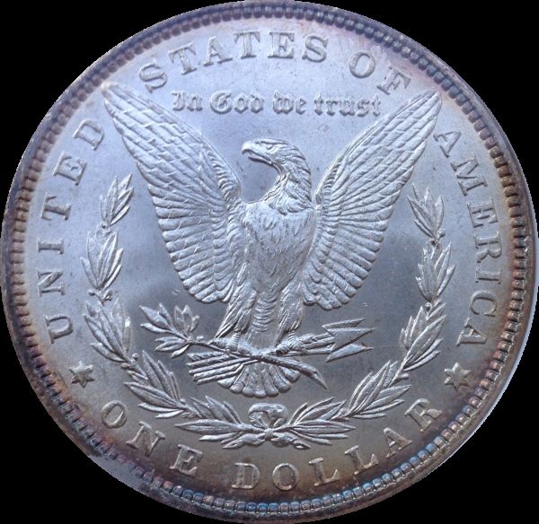 Today's-Pickups-From-A-New-Orleans-Coin-Shop-Edited