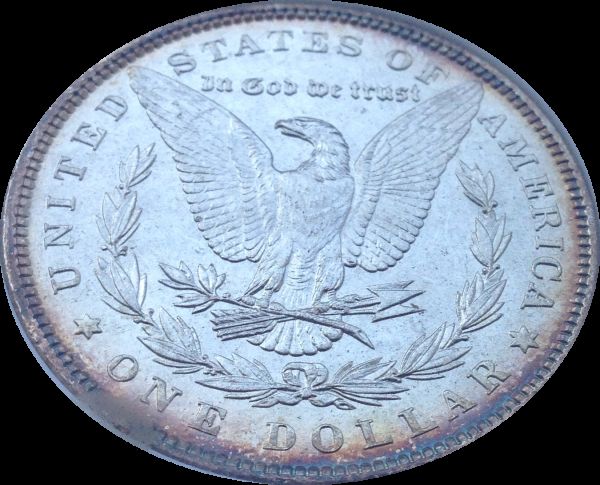 Today's-Pickups-From-A-New-Orleans-Coin-Shop-Edited