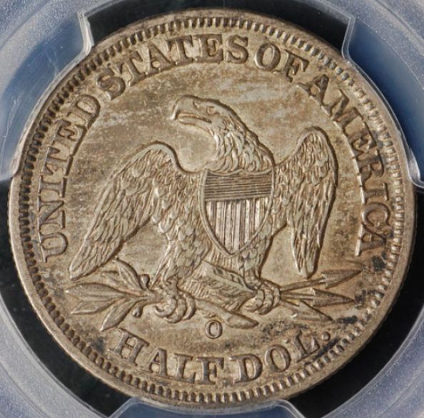 What-Do-You-Think-About-This-Seated-Half?