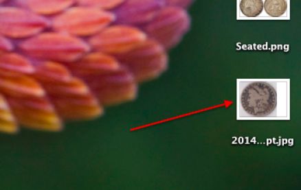 Cropping-Images