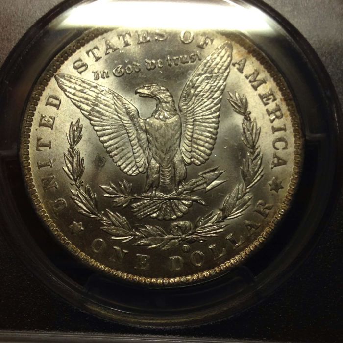 1884-O-Morgan---You-Vs.-PCGS