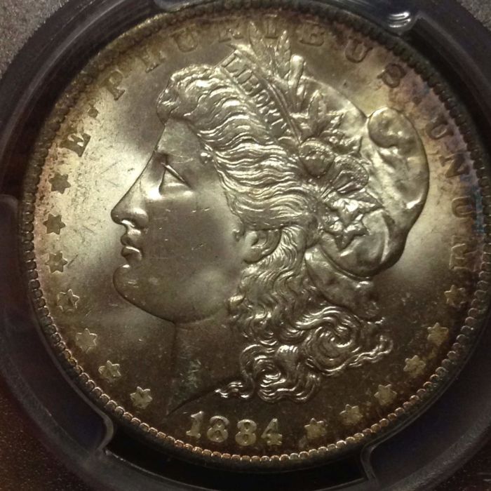 1884-O-Morgan---You-Vs.-PCGS