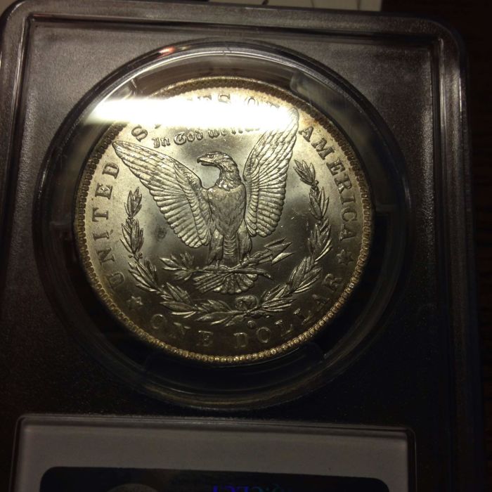 1884-O-Morgan---You-Vs.-PCGS