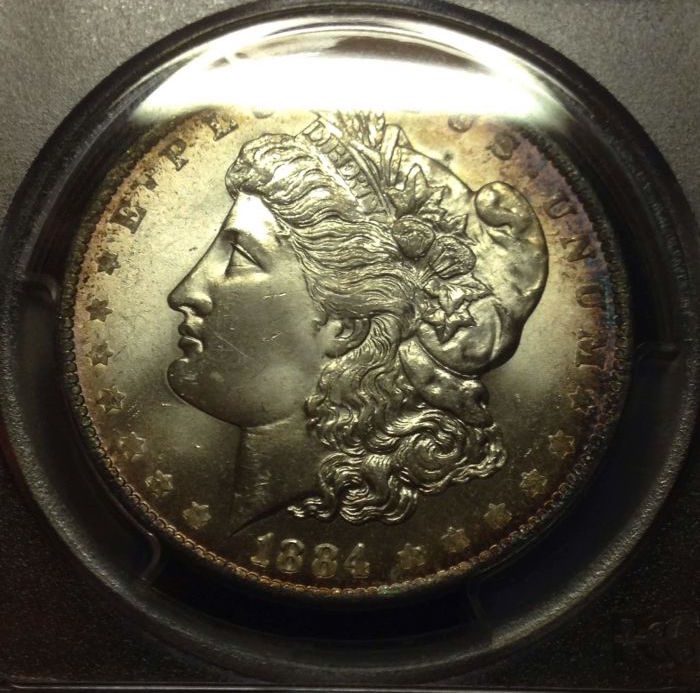 1884-Orleans-Morgan---What-Would-You-Grade-It?