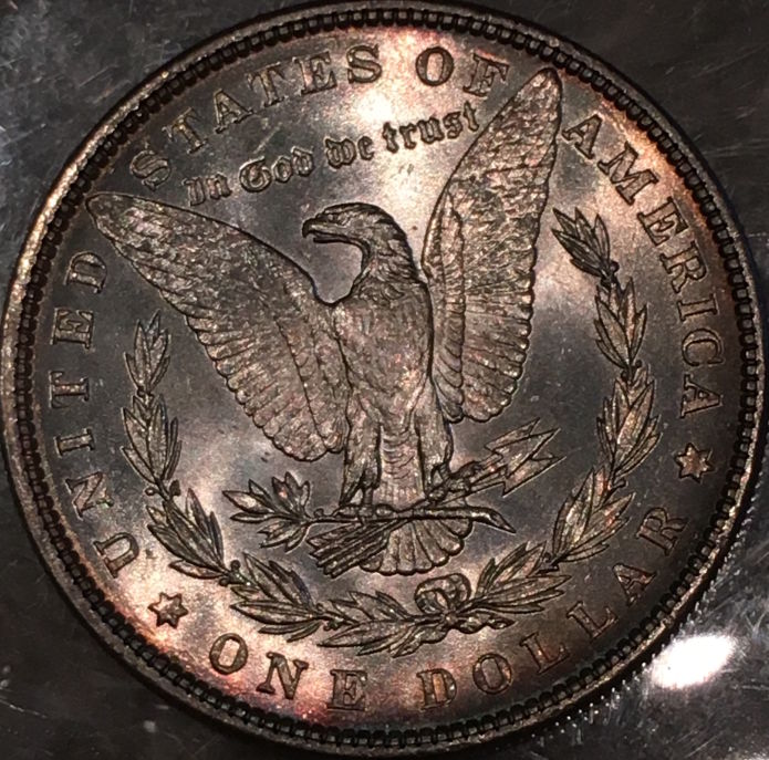 1886-Philly-Morgan---What-Would-You-Grade-It?
