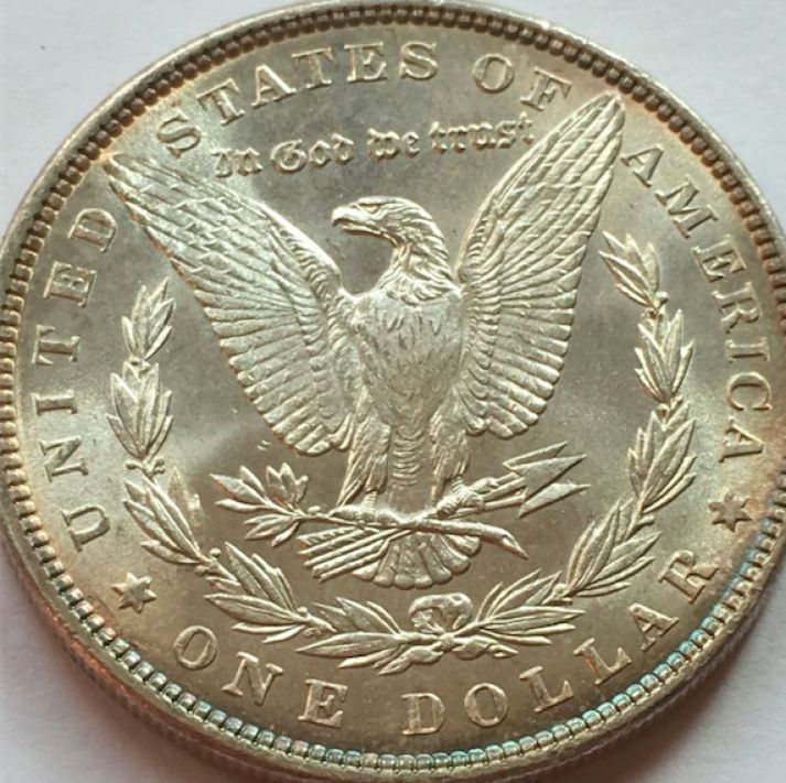 1886-Philly-Morgan---What-Would-You-Grade-It?