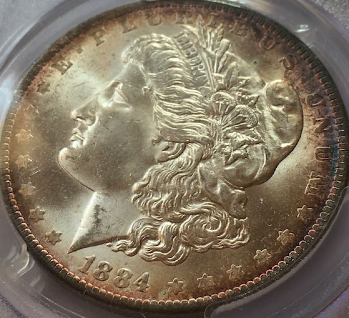 1884-Orleans-Morgan---What-Would-You-Grade-It?