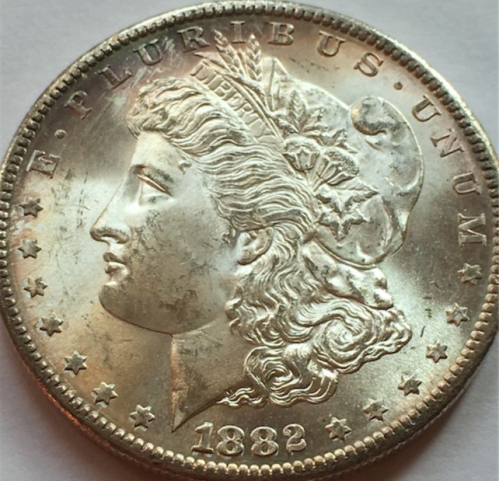 1882-S-Morgan---What-Would-You-Grade-It?