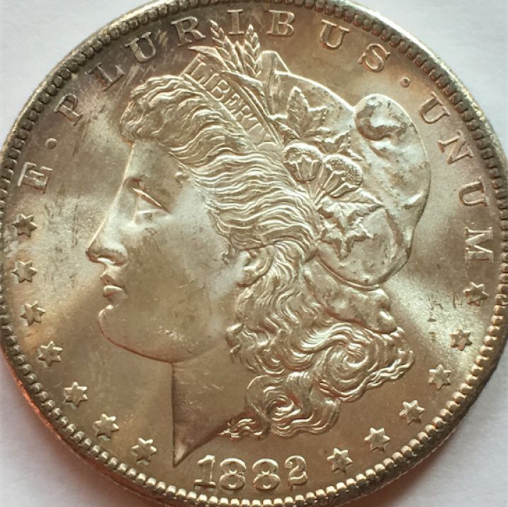1882-S-Morgan---What-Would-You-Grade-It?