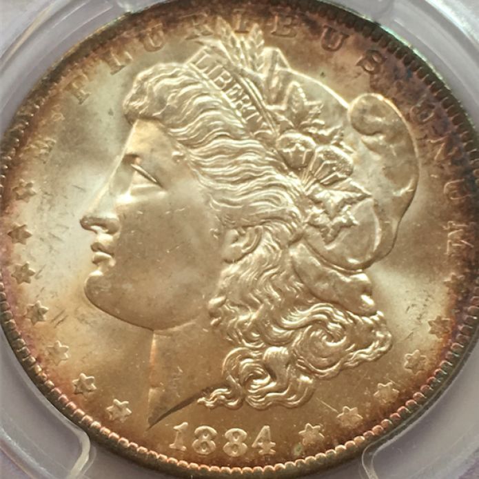 1884-Orleans-Morgan---What-Would-You-Grade-It?
