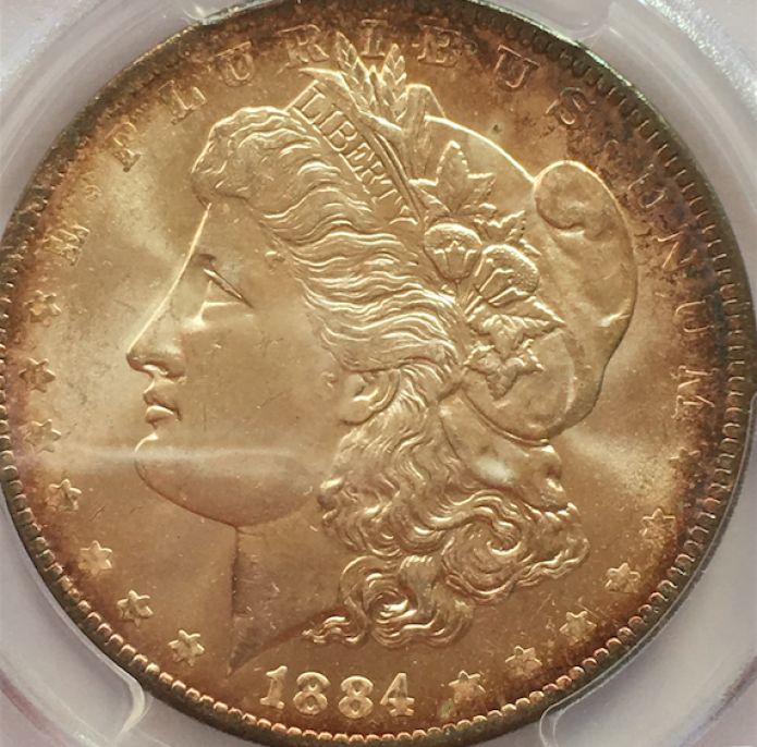 1884-Orleans-Morgan---What-Would-You-Grade-It?