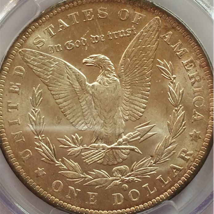 1884-Orleans-Morgan---What-Would-You-Grade-It?