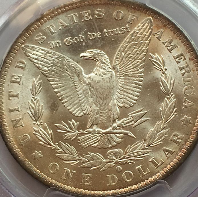 1884-Orleans-Morgan---What-Would-You-Grade-It?