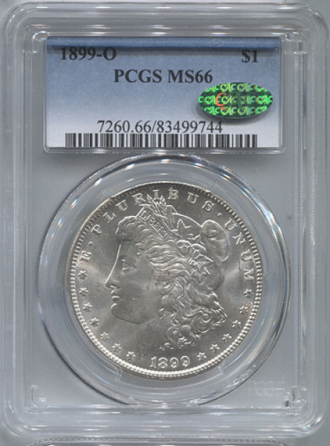 My-Quest-To-Complete-The-Morgan-Dollar-Set