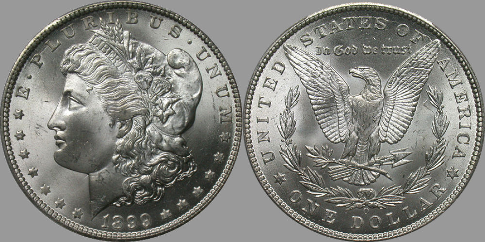 My-Quest-To-Complete-The-Morgan-Dollar-Set