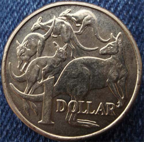 Noodling-Find-Of-The-Week?