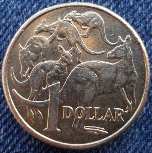 Noodling-Find-Of-The-Week?