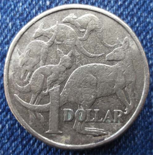 Noodling-Find-Of-The-Week?