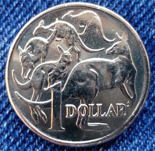 2005-1-Dollar-Error