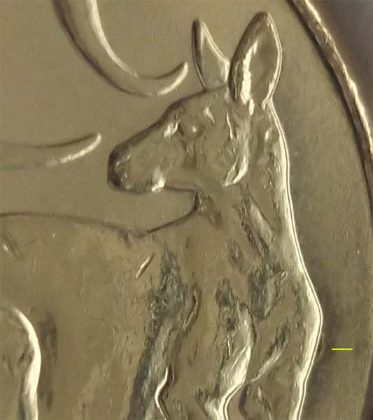 Noodling-Find-Of-The-Week?